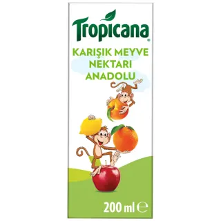 Meyve Suyu 200ml Karton