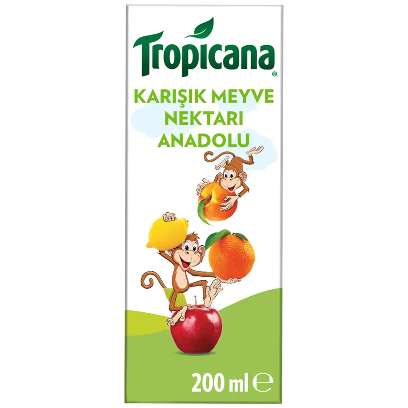 Meyve Suyu 200ml Karton
